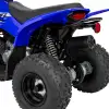 RAPTOR 50 (2)