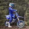 WEB-YZ85