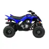 RAPTOR 110 (1) (1)