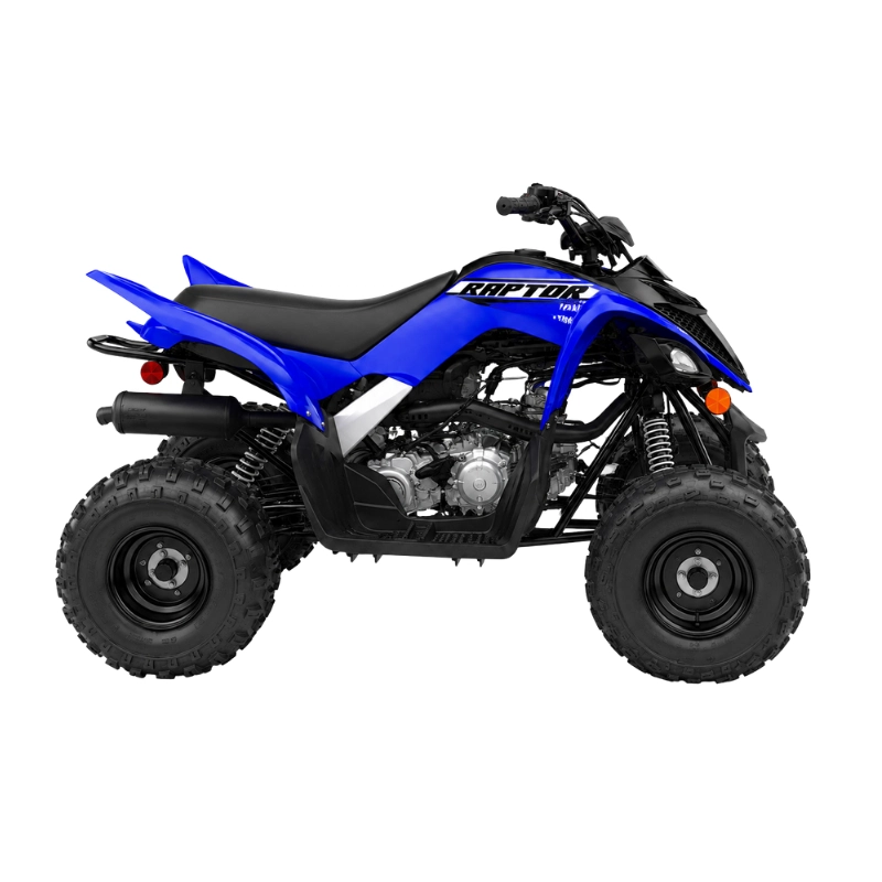 RAPTOR 110 (1) (1)