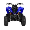 RAPTOR 110 (2)