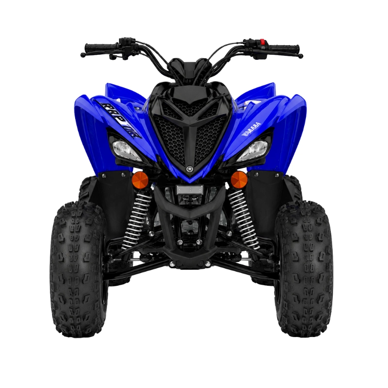 RAPTOR 110 (2)