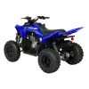 RAPTOR 110 (3)