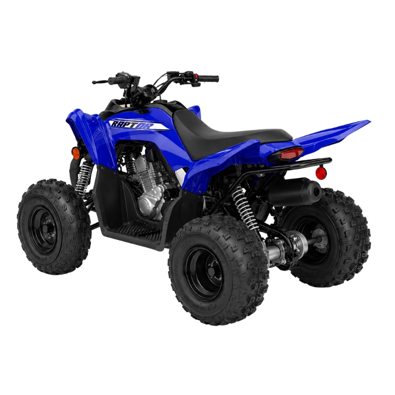 RAPTOR 110 (3)