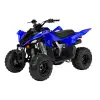 RAPTOR 110 (4)