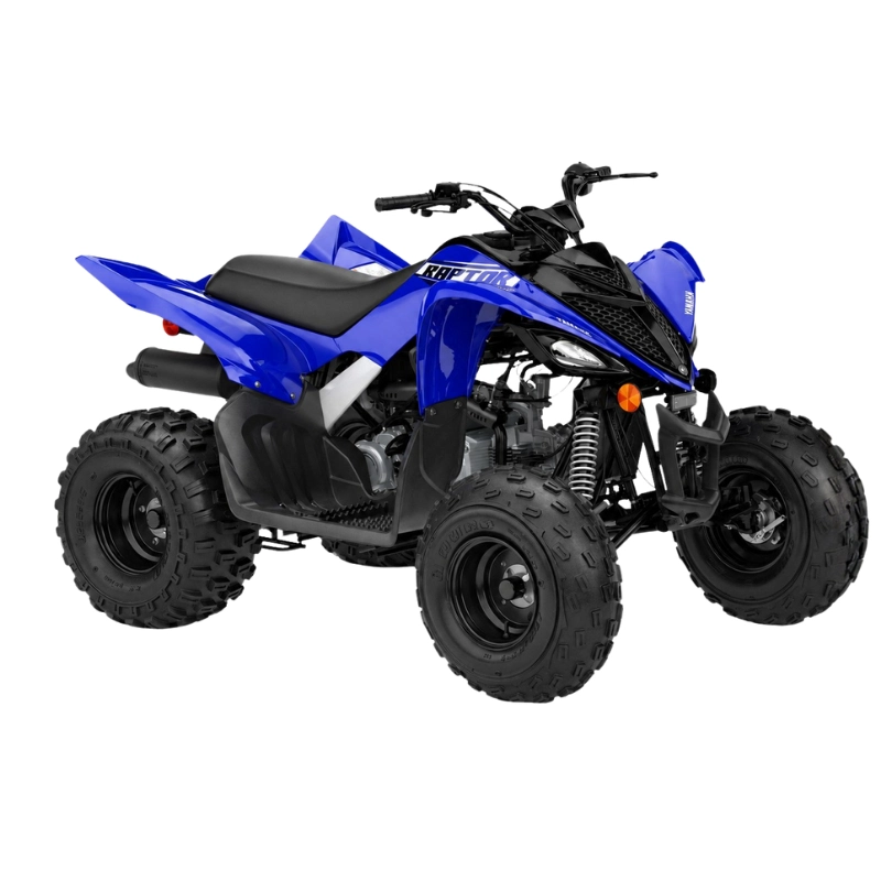 RAPTOR 110 (5)