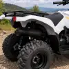 GRIZZLY 90 (1)