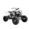 RAPTOR 700