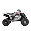 RAPTOR 700 (2)