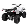 RAPTOR 700 (4)