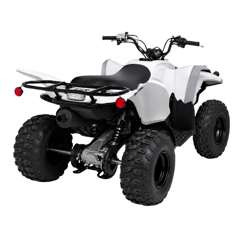 RAPTOR 700 (4)