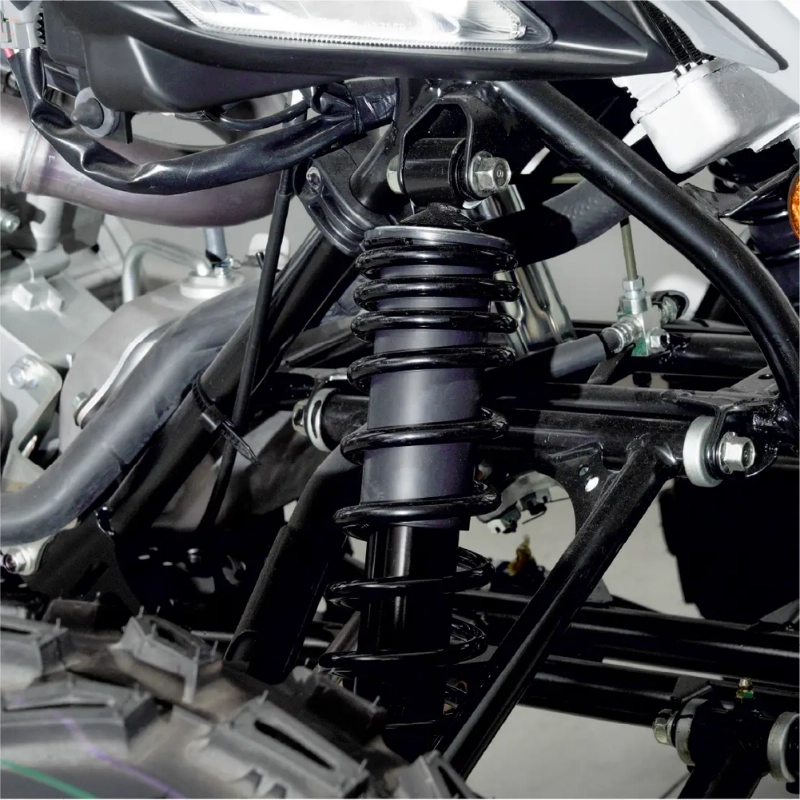 RAPTOR 700 (7)