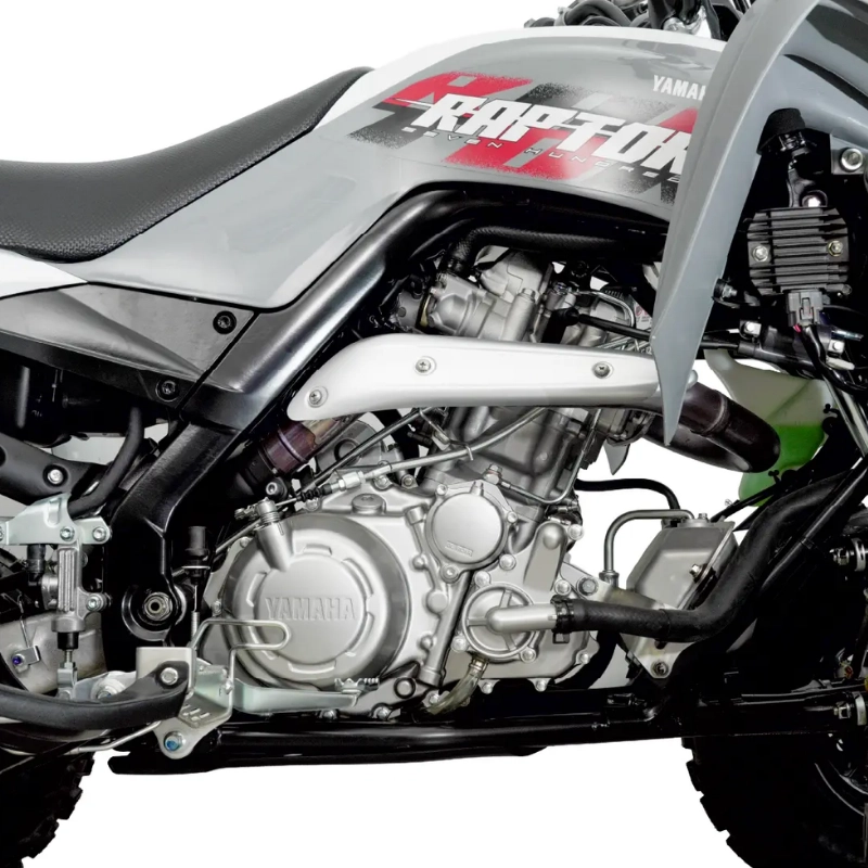 RAPTOR 700 (8)