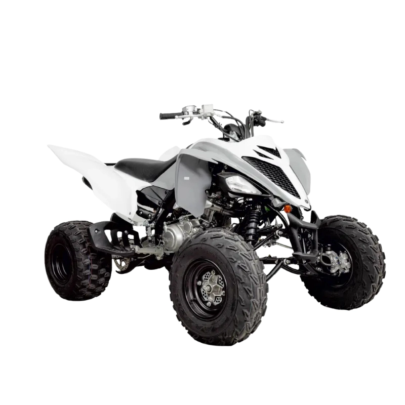 RAPTOR 700