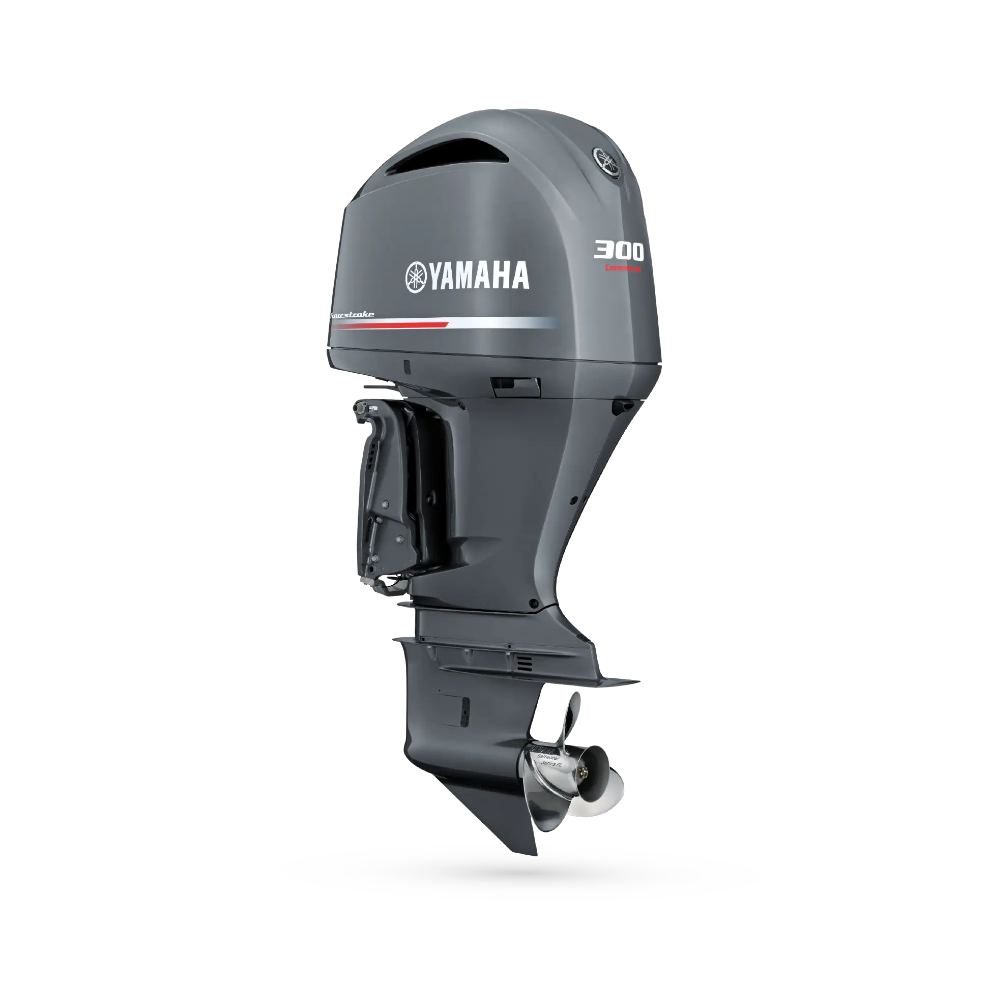 F300DETX Motor 800X800px