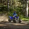 133 (1)