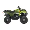 GRIZZLY 110 YFM