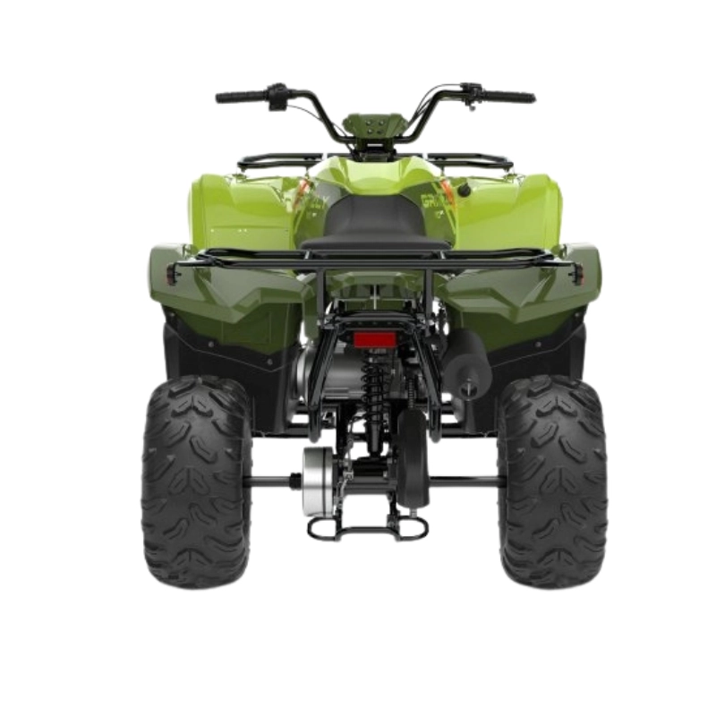 GRIZZLY 110 YFM 5