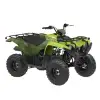 GRIZZLY 110 YFM 6
