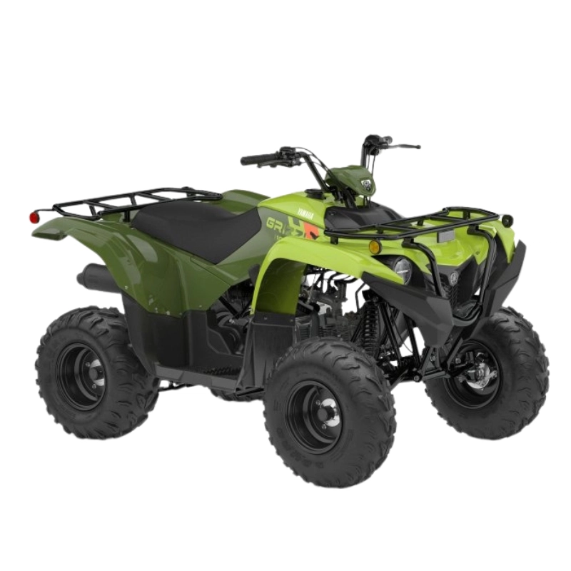 GRIZZLY 110 YFM 6