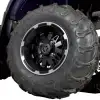 KODIAK 450 Edición Especial (2)