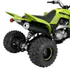 RAPTOR 700 RSE (3)
